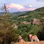 Casale I Calanchi * גוביו