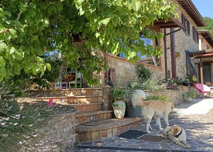 Bed & Breakfast Casale I Calanchi
